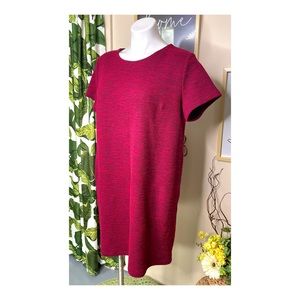 LOFT Red Knit Crewneck Short Sleeve Stretch Tie Ribbon Neck Sheath Knee Length